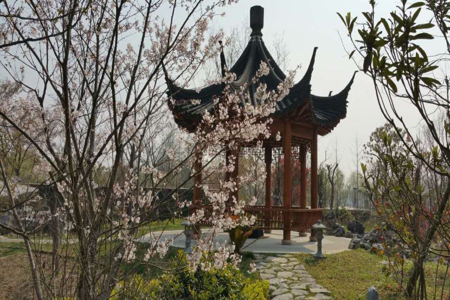 Taoyuan Shuixiang Hotel Chongming Экстерьер фото